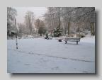 DSCN1982