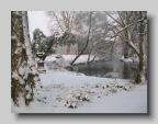 DSCN1984